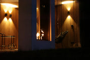 Fame Vertical Doorkijkhaard Enkel Volle Glas 70 x 100 cm